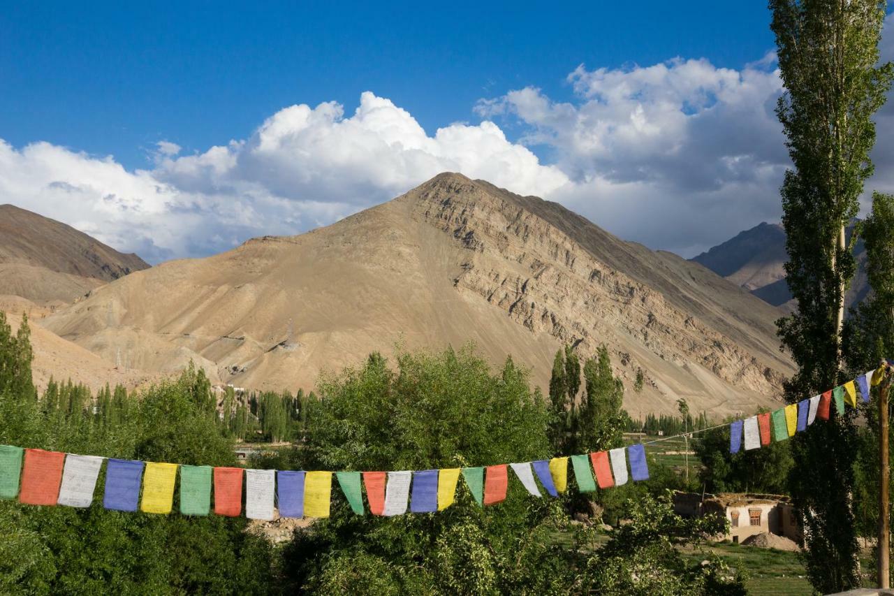 Hotel Nimmu House Ladakh Nimu Zewnętrze zdjęcie